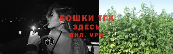 дживик Богданович