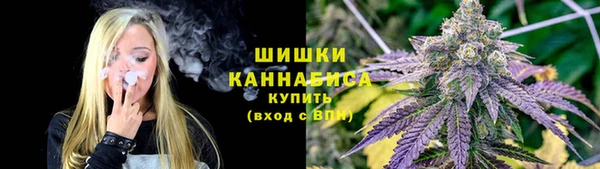 дживик Богданович