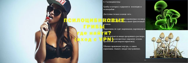 хмурый Богородск