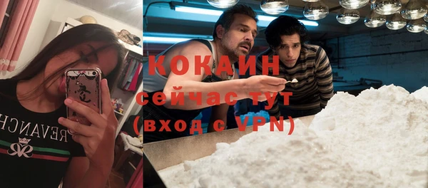 дживик Богданович
