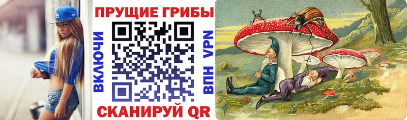 Псилоцибиновые грибы MAGIC MUSHROOMS  хочу наркоту  Сковородино 